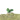 Rock Island Hobby 024101 Deciduous Trees, 3.5" (5-Pack)