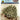 JTT 92077 HO Scale Snow-Covered Evergreen Trees, 3"-5", 10 pieces