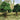 JTT 92132 Deciduous Trees, Green, 4"-5", 4 pieces
