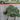 JTT 92138 O Scale Lemon Trees, 4-5"