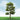 JTT 92306 HO Scale Downy Birch Trees, 3.5"-4", 2 pieces