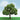 JTT 92404 O Scale Elder Trees, 5", 1 piece