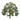 JTT 94348 Live Oak Trees, 1.5", 4 pieces