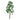 JTT 94416 Birch Trees, 2", 4 pieces