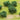 JTT 95062 Foliage Clumps & Undergrowth, 1/2"-1", 55 pieces