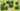 JTT 95062 Foliage Clumps & Undergrowth, 1/2"-1", 55 pieces