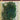 JTT 95518 Foliage Branches, Light Green, 1.5"-3"