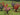 JTT 95546 O Scale Flower Bushes, 1"-1.5", 32 pieces