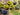 JTT 95643 Flower Bushes, White, Purple, Blue