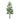 JTT 96027 Pine Trees, 8", 1 piece