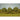 Bachmann Oak Trees 3''-3.5''/3pc - 32013